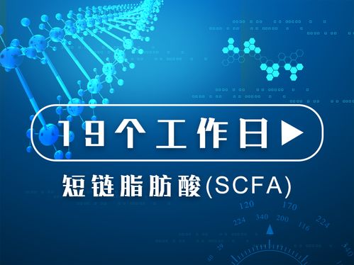 質譜服務的價格、采購與供應商信息詳解